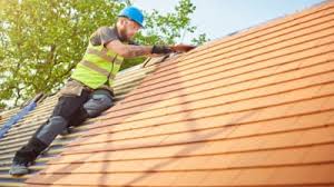 Best Roof Moss and Algae Removal  in Fairview, TX