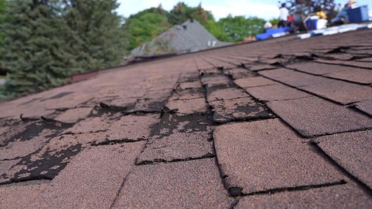 Best Roof Coating and Sealing  in Fairview, TX